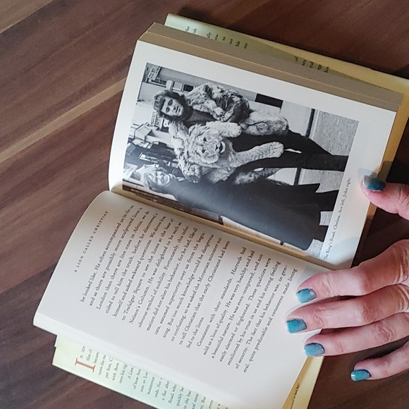 🦁 A Lion Called Christian 🦁 - Picture 2 of 4